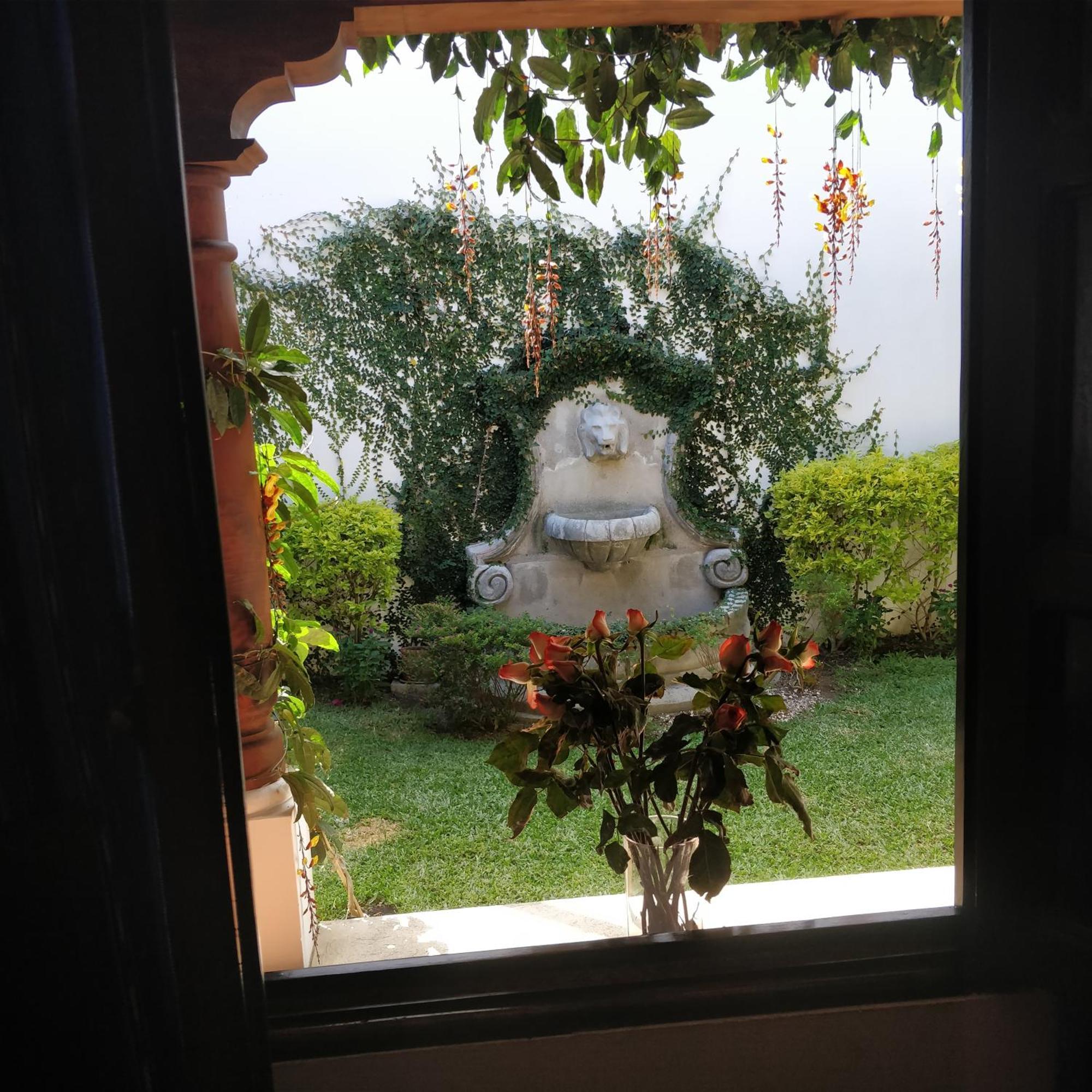 Casa Elena Bed & Breakfast Antigua Oda fotoğraf