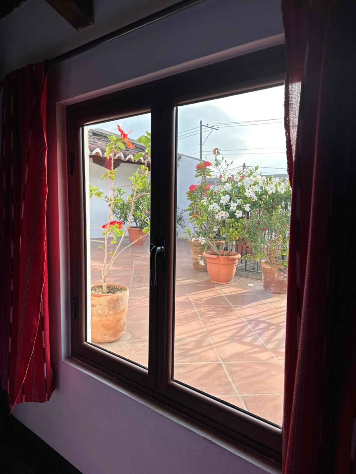 Casa Elena Bed & Breakfast Antigua Dış mekan fotoğraf