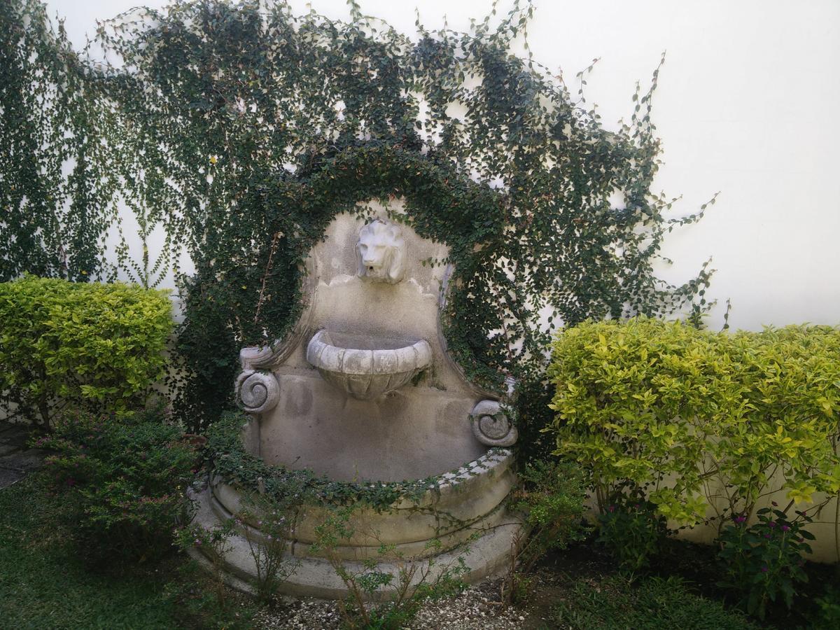 Casa Elena Bed & Breakfast Antigua Dış mekan fotoğraf