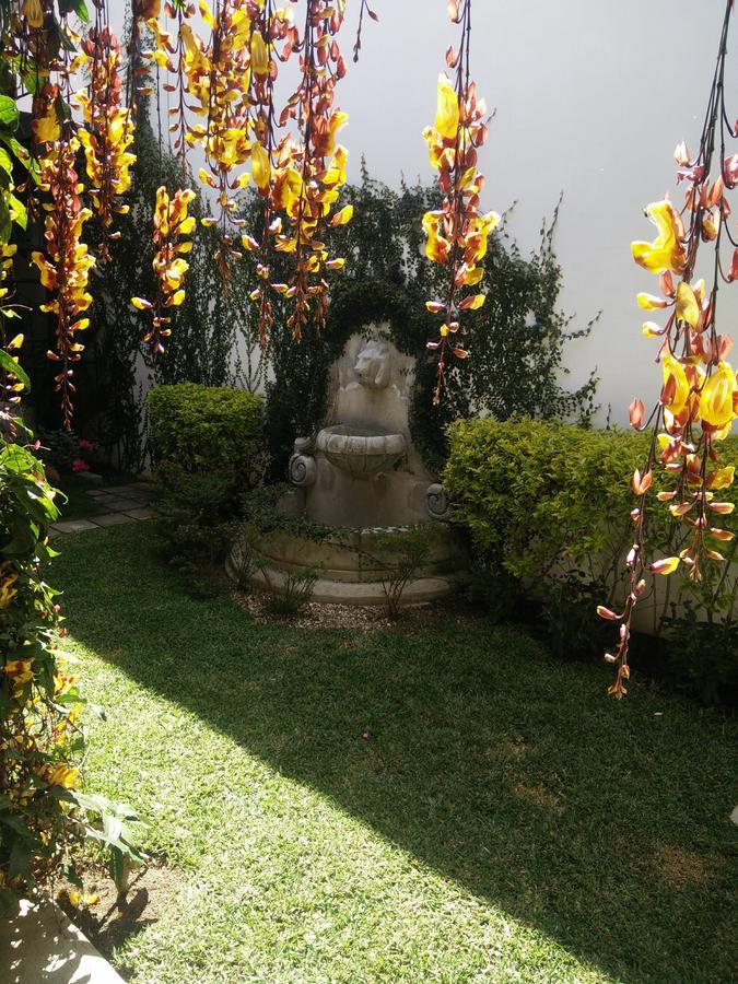 Casa Elena Bed & Breakfast Antigua Dış mekan fotoğraf